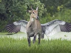 Deretan Foto Unik yang Dijepret di Waktu dan Angle Tepat