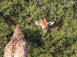 Tebak-tebakan Foto Membingungkan buat Teman Ngabuburit Kamu