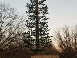 Tebak-tebakan Foto Membingungkan buat Teman Ngabuburit Kamu