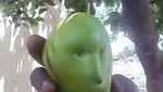 Gemas! Pare hingga Kentang Ini Punya Bentuk Wajah yang Imut dan Ekspresif
