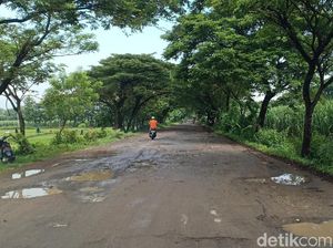 Jalan Sepanjang 5 KM di Kecamatan Madiun dan Sawahan Rusak Parah