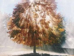 Deretan Foto Unik yang Dijepret di Waktu dan Angle Tepat