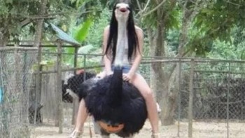 Burung unta seperti memiliki rambut panjang ya. Foto: facebook.com/Inspire2daycom/
