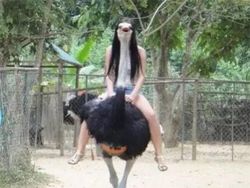 Deretan Foto Unik yang Dijepret di Waktu dan Angle Tepat