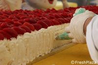 Keren! Italia Pecahkan Rekor Ciptakan Strawberry Cake Terpanjang di Dunia