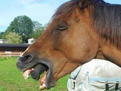 Deretan Foto Unik yang Dijepret di Waktu dan Angle Tepat