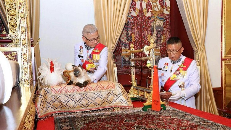 Istana Jawab Rumor Raja Thailand Pakai Boneka Kucing Saat Penobatan Istana Jawab Rumor Raja Thailand Pakai Boneka Kucing Saat Penobatan