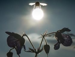 Deretan Foto Unik yang Dijepret di Waktu dan Angle Tepat