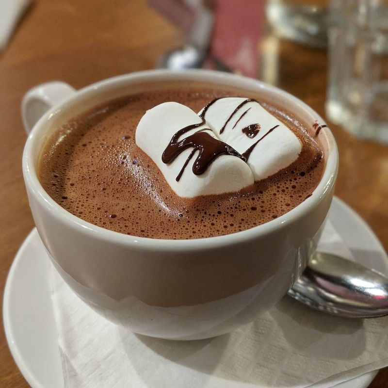 hot chocolate milk