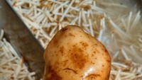 Ketika sedang cuci kentang, netizen ini temukan kentang yang memiliki bentuk mirip seperti wajah tengah tersenyum manis. Foto: Istimewa