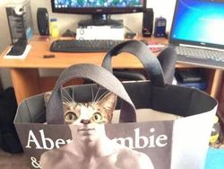 Deretan Foto Unik yang Dijepret di Waktu dan Angle Tepat