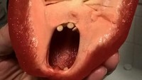 Saat potong paprika, netizen yang satu ini tak sengaja temukan ekspresi lucu dari paprika yang tengah berteriak lengkap dengan gigi dari biji paprika. Foto: Istimewa