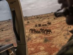 Melihat Bumi yang Terancam Sakit Parah