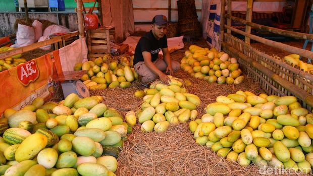 Memasuki bulan Ramadhan pedagang timun suri mulai menjajakan dagangannya. Salah satunya di kawasan Pasar Kramat Jati, Jakarta.