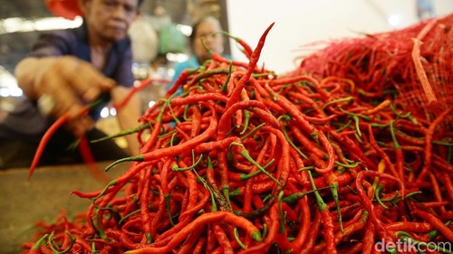 Pekerja tengah mengangkat karung yang berisikan bawang merah di Pasar Induk Kramat Jati, Jakarta, Selasa (7/6/2019). Berdasarkan pantauan dari Pusat Informasi Harga Pangan Strategis (PIHPS) Nasional yang dikelola Bank Indonesia (BI) dan pemerintah, komoditas bawang putih, bawang merah, cabai rawit merah, dan cabai rawit hijau terus merangkak naik dalam sepekan terakhir.