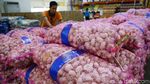 Gila! Harga Bawang Putih Melonjak Tak Terkendali