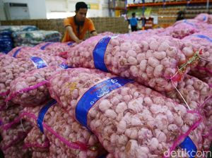 Catat! Pemerintah Janji Harga Bawang Putih Turun Jadi Rp 32.000/Kg