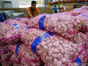 Catat! Pemerintah Janji Harga Bawang Putih Turun Jadi Rp 32.000/Kg