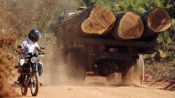 Di samping perubahan iklim, manusia adalah tersangka utama kerusakan biodiversitas. Kita telah mengubah 75% daratan dan 66% ekosistem laut sejak masa pra industri. Populasi dan permintaan sumber daya yang terus bertambah mengakibatkan pengaruh buruk. Foto: Getty Images
