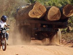 Melihat Bumi yang Terancam Sakit Parah