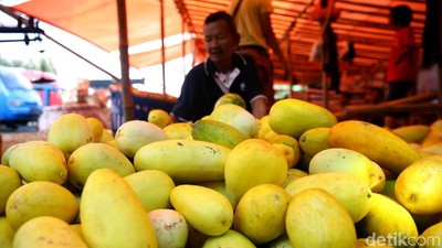 Pedagang Timun Suri Mulai Menjamur