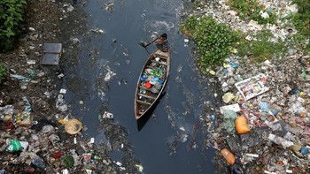 Habitat yang menyusut, eksploitasi sumber daya alam, perubahan iklim dan polusi merupakan alasan utama kepunahan pesat banyak spesies. Hal itu menimbulkan ancaman pada 40% amfibi, 33% terumbu karang dan lebih dari sepertiga mamalia laut. Foto: Reuters