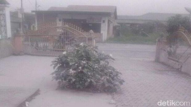 Gunung Sinabung Kembali Erupsi, Tinggi Kolom Abu Capai 2.000 Meter