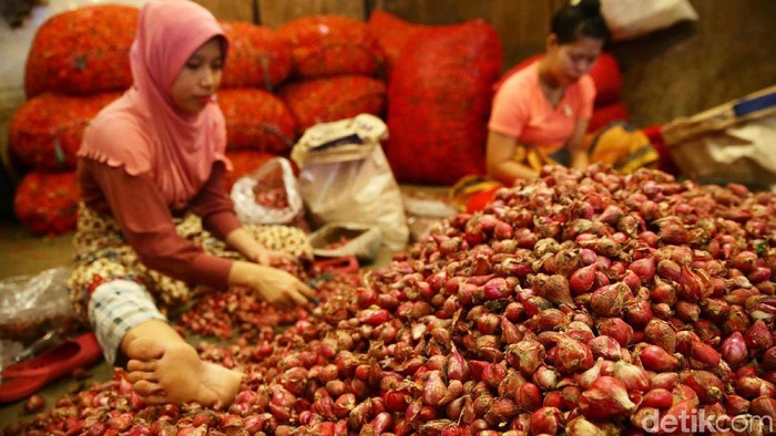 Pekerja tengah mengangkat karung yang berisikan bawang merah di Pasar Induk Kramat Jati, Jakarta, Selasa (7/6/2019). Berdasarkan pantauan dari Pusat Informasi Harga Pangan Strategis (PIHPS) Nasional yang dikelola Bank Indonesia (BI) dan pemerintah, komoditas bawang putih, bawang merah, cabai rawit merah, dan cabai rawit hijau terus merangkak naik dalam sepekan terakhir.