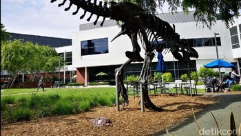 Fosil dinosaurus. (Foto: detikINET/Agus Tri Haryanto)