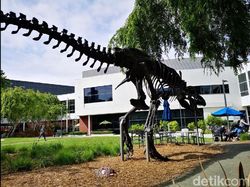 Ngabuburit di Markasnya Mbah Google