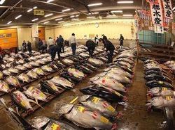 Melihat Bumi yang Terancam Sakit Parah