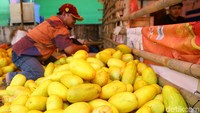 Di kawasan ini timun suri dijual seharga 7 ribu rupiah per kilogram.