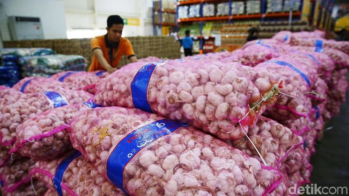 Bawang Putih/Foto: Grandyos Zafna Bawang Putih/Foto: Grandyos Zafna