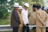 Hari Ini Jokowi Cek 4 Lokasi Calon Ibu Kota Baru di Kalteng