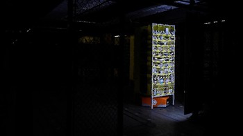 “Bayangkan jika Anda ingin pisang. Ada yang ingin masih belum matang, ada yang ingin matang. Bagaimana robot dapat mengambilnya?” sebut Derek Jones, salah satu pejabat Amazon. Foto: Reuters