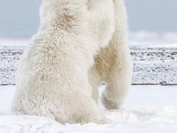 Karya Memukau Finalis Kontes Foto Natgeo Travel Kategori Alam