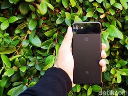 Menggenggam Pixel 3a dan 3a XL, Jagoan Kamera yang Murah