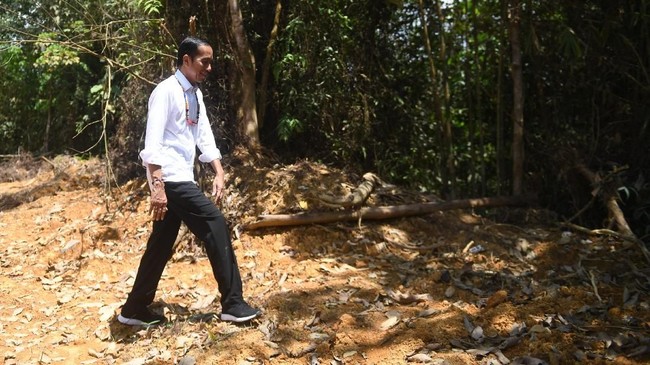 Donald Trump Jr ke Indonesia, Nasib Jalan Berbayar di Jakarta