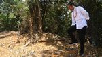 Momen Jokowi Tinjau Calon Ibu Kota Baru Indonesia