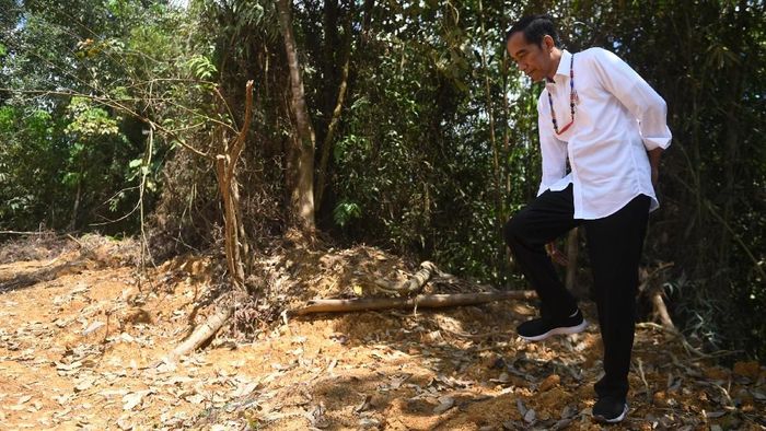 Presiden Jokowi cek calon lokasi ibu kota baru/Foto: Antara Foto/Akbar Nugroho Gumay