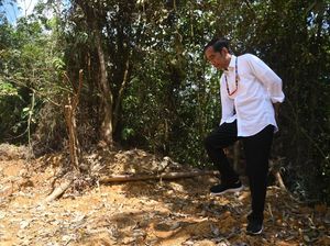 Ibu Kota Baru RI Produk Bangsa Sendiri