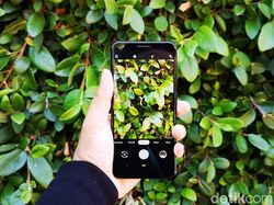 Menggenggam Pixel 3a dan 3a XL, Jagoan Kamera yang Murah