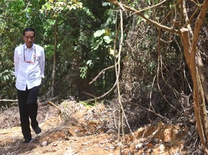 Menebak Lokasi Calon Ibu Kota Baru di Kalimantan
