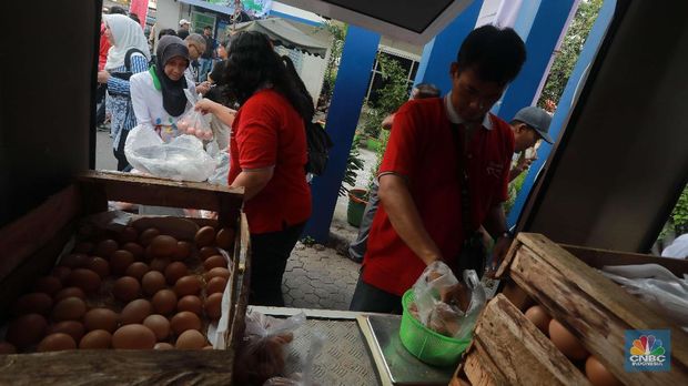 Waduh, Harga Telur Ayam Sudah Mulai Menggila
