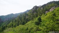 Rangkaian Pegunungan Taebaek di Sokcho (Afif Farhan/detikTravel)
