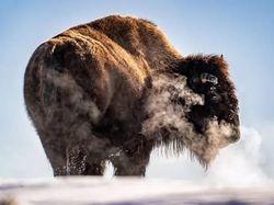 Karya Memukau Finalis Kontes Foto Natgeo Travel Kategori Alam