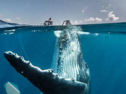 Karya Memukau Finalis Kontes Foto Natgeo Travel Kategori Alam