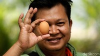 Salah satu bahan makanan yang dijual murah adalah telur dengan harga Rp 1.700 per butir.