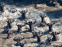 Karya Memukau Finalis Kontes Foto Natgeo Travel Kategori Alam