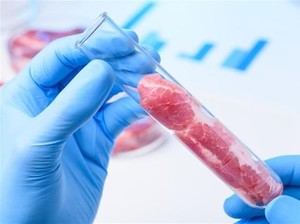 Singapura Kini Punya Banyak Makanan Pengganti Daging yang Ramah Lingkungan